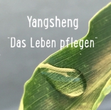 Gesundheitsprävention oder &quot;Yangsheng: Das Leben pflegen&quot;